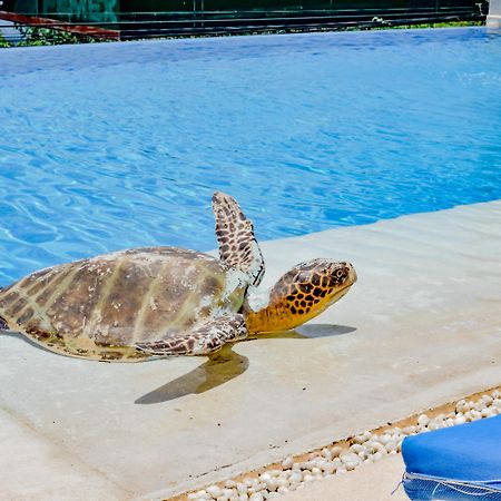 Villa Del Pescador Zihuatanejo Esterno foto