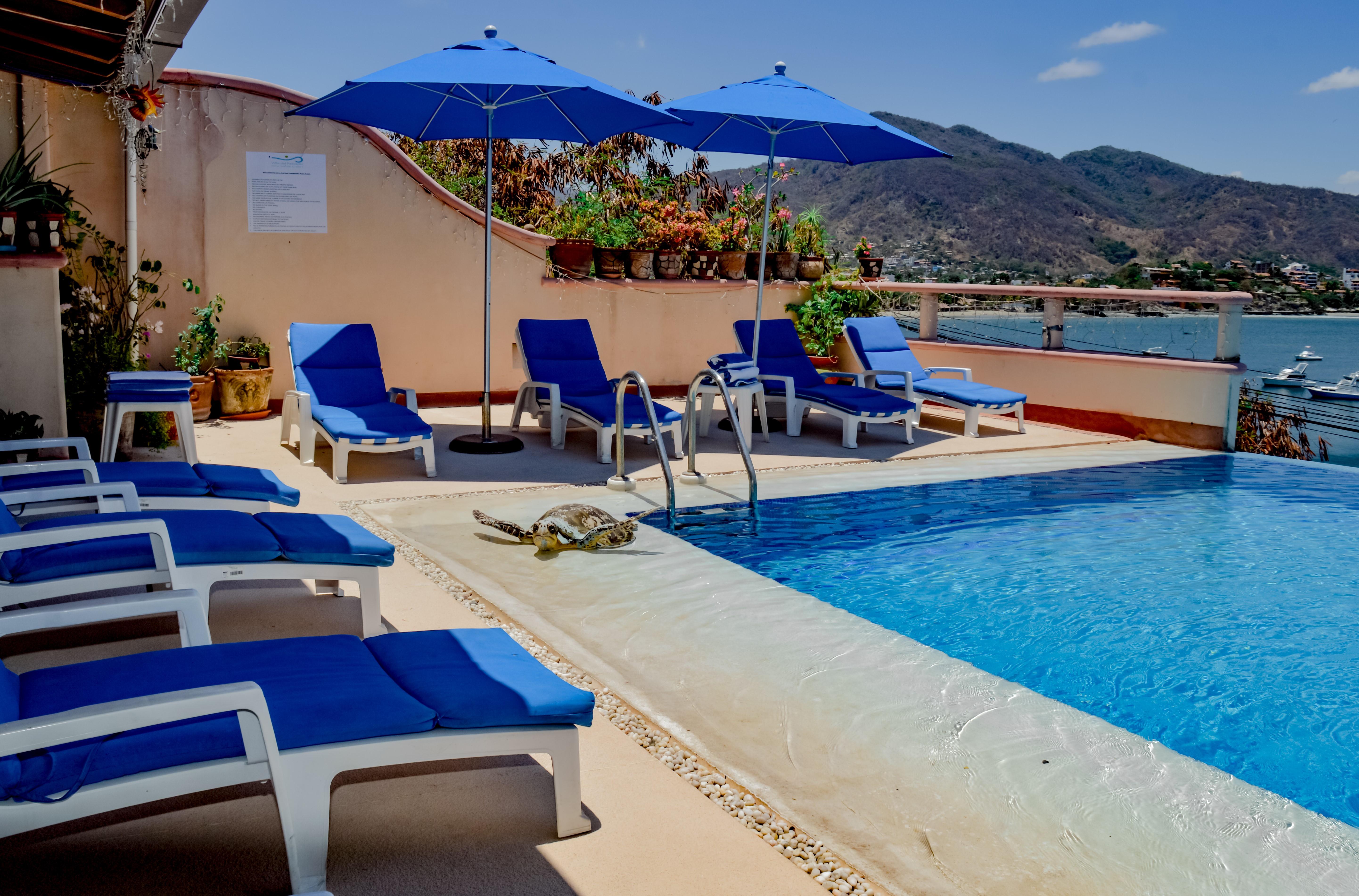 Villa Del Pescador Zihuatanejo Esterno foto
